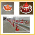 poultry feeding / raising / farming equipments for chickens